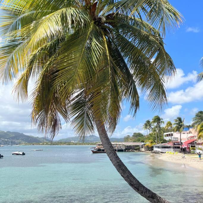 Studio La «Kaz' A Coco» Anse Caritan แซ็งแตนน์ ภายนอก รูปภาพ